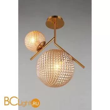 Люстра Aployt Marzena APL.300.17.02 - Фото 3