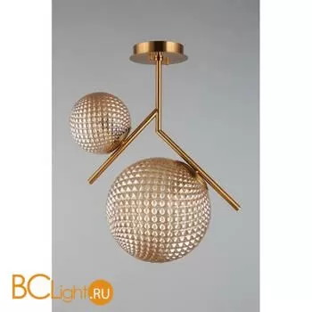 Люстра Aployt Marzena APL.300.17.02 - Фото 1