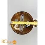 Люстра Aployt Marzena APL.300.17.02 - Фото 8