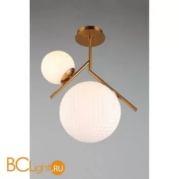 Люстра Aployt Marzena APL.300.07.02 - Фото 1