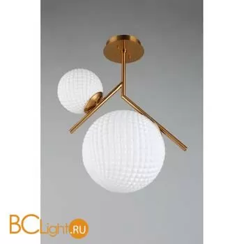 Люстра Aployt Marzena APL.300.07.02 - Фото 2