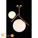 Люстра Aployt Marzena APL.300.07.02 - Фото 4