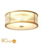 Потолочный светильник Aployt Matteo APL.624.07.03