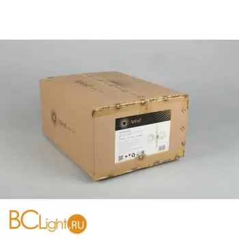 Настенный светильник Aployt Melani APL.821.01.02 - Фото 13