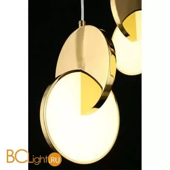 Подвесной светильник Aployt Mila APL.044.16.24 - Фото 6