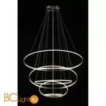 Подвесной светильник Aployt Monisia APL.020.13.243 - Фото 12