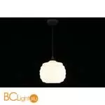 Подвесной светильник Aployt Morgan APL.605.26.01 - Фото 4