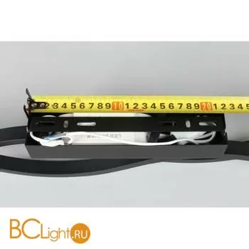 Настенный светильник Aployt Nadayn APL.002.12.36 - Фото 19