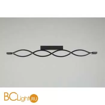 Настенный светильник Aployt Nadayn APL.002.12.36 - Фото 6