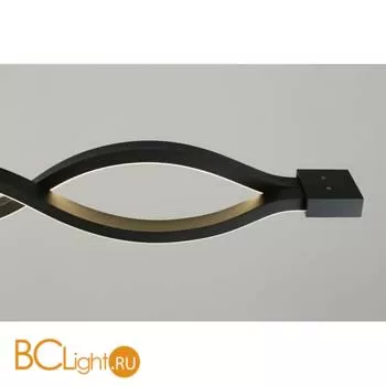 Настенный светильник Aployt Nadayn APL.002.12.36 - Фото 9