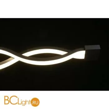 Настенный светильник Aployt Nadayn APL.002.12.36 - Фото 12