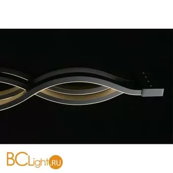 Потолочный светильник Aployt Nadayn APL.002.17.72 - Фото 16