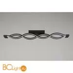 Потолочный светильник Aployt Nadayn APL.002.17.72 - Фото 6