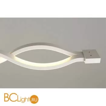 Настенный светильник Aployt Nadayn APL.002.02.36 - Фото 2