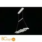 Подвесной светильник Aployt Nadayn APL.002.03.72 - Фото 8