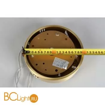 Подвесной светильник Aployt Nicoletta APL.026.03.100 - Фото 0