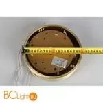 Подвесной светильник Aployt Nicoletta APL.026.03.100 - Фото 0