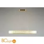 Подвесной светильник Aployt Nicoletta APL.026.03.70 - Фото 5