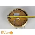 Подвесной светильник Aployt Nicoletta APL.026.13.85 - Фото 15