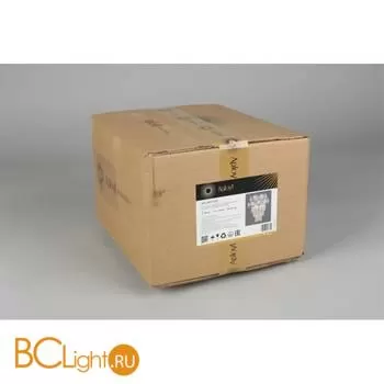 Настенный светильник Aployt Nikoul APL.832.11.02 - Фото 15