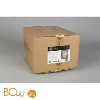 Настенный светильник Aployt Nikoul APL.832.01.02 - Фото 16