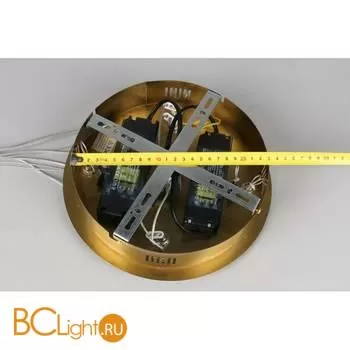 Потолочный светильник Aployt Olimp APL.045.03.65 - Фото 15