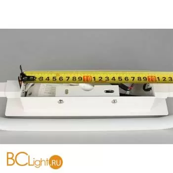 Настенный светильник Aployt Olivi APL.003.01.14 - Фото 0