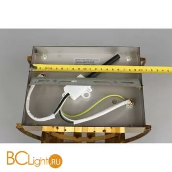 Настенный светильник Aployt Ornella APL.642.01.02 - Фото 9