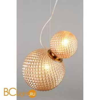 Подвесной светильник Aployt Patunia APL.301.16.02 - Фото 2