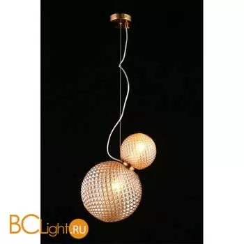 Подвесной светильник Aployt Patunia APL.301.16.02 - Фото 3