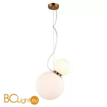 Подвесной светильник Aployt Patunia APL.301.06.02 - Фото 0