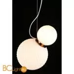 Подвесной светильник Aployt Patunia APL.301.06.02 - Фото 5