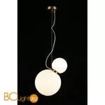 Подвесной светильник Aployt Patunia APL.301.06.02 - Фото 3