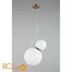 Подвесной светильник Aployt Patunia APL.301.06.02 - Фото 1