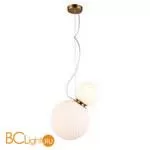 Подвесной светильник Aployt Patunia APL.301.06.02 - Фото 0