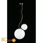 Подвесной светильник Aployt Patunia APL.301.06.02 - Фото 4