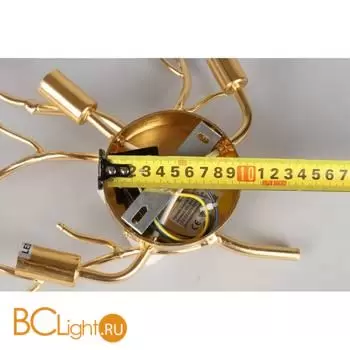 Бра Aployt Paulina APL.848.01.03 - Фото 8