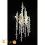 Бра Aployt Paulina APL.848.01.03 - Фото 4