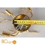 Бра Aployt Paulina APL.848.01.03 - Фото 8