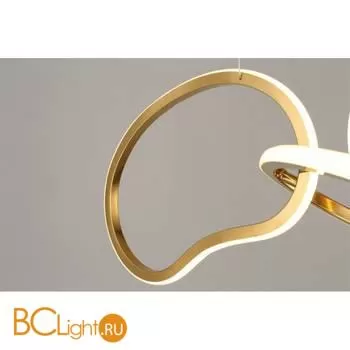 Подвесной светильник Aployt Pirret APL.046.03.80 - Фото 4