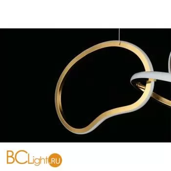 Подвесной светильник Aployt Pirret APL.046.03.80 - Фото 11