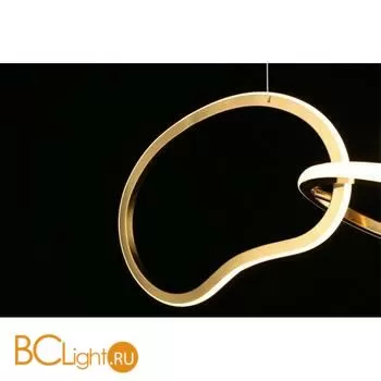 Подвесной светильник Aployt Pirret APL.046.03.80 - Фото 10