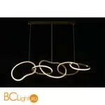 Подвесной светильник Aployt Pirret APL.046.03.80 - Фото 7