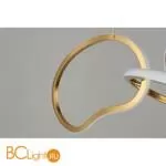 Подвесной светильник Aployt Pirret APL.046.03.80 - Фото 5