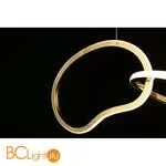 Подвесной светильник Aployt Pirret APL.046.03.80 - Фото 10