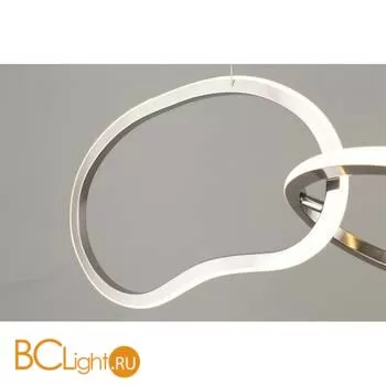 Подвесной светильник Aployt Pirret APL.046.13.80 - Фото 4