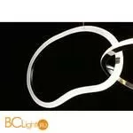 Подвесной светильник Aployt Pirret APL.046.13.80 - Фото 10