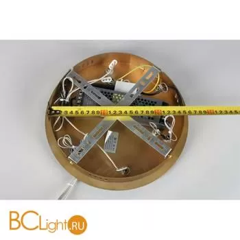 Подвесной светильник Aployt Polunia APL.021.03.136 - Фото 10