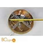 Подвесной светильник Aployt Polunia APL.021.03.136 - Фото 10