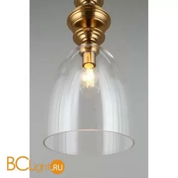 Подвесной светильник Aployt Rena APL.602.16.01 - Фото 2